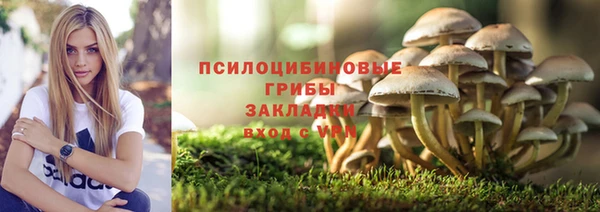 гидропоника Верея