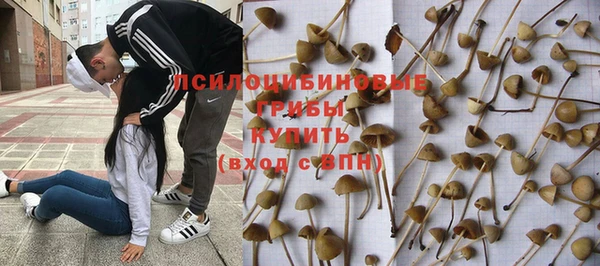 гидропоника Верея