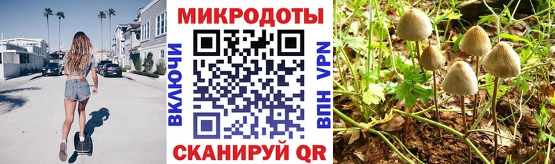 Купить закладки  Остров  Галлюциногенные грибы Psilocybine cubensis 